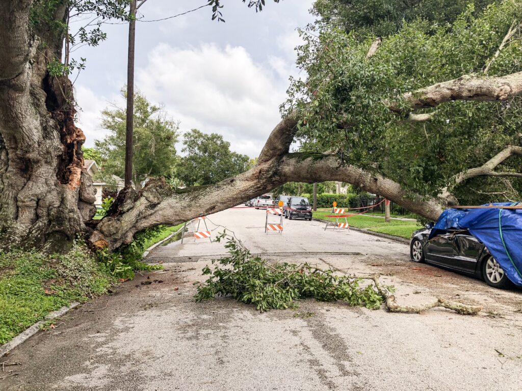 How to Avoid Scams After a Storm: Protect Yourself from Fraud